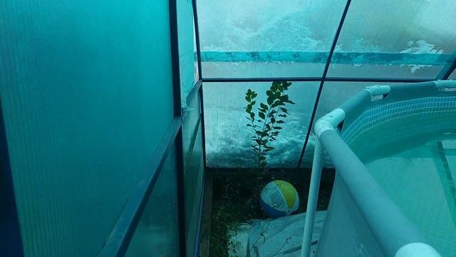 Навес для бассейна своими руками, первая зимовка