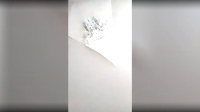 Грибок после мокрых стен смотреть онлайн