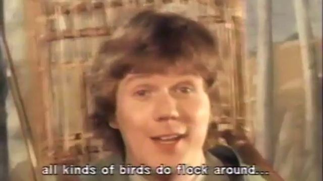 Mozart - Bergman - Magic Flute - Der Vogelfanger.mp4 смотреть онлайн