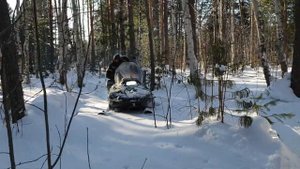 Буран на двух лыжах полный газ.