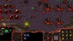Starcraft - Zerg 1 vs 7 Random Computers, Big Game Hunters