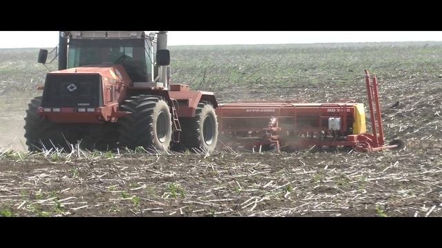 Уборка подсолнечника и сев сорго одновременно май 2014