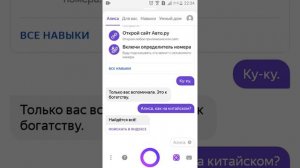 алиса на китайском серая птица