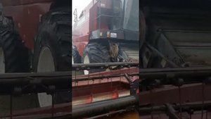 Комбайн Полесье GS 12 экспресс-обзор от Сергея Кондратова