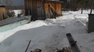 Котлеты из свежего налима.