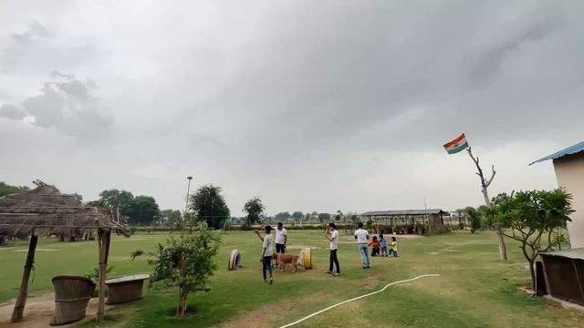 My Dog’s First Pool Party Picnic ? Lekin doobte doobte bache ? смотреть онлайн
