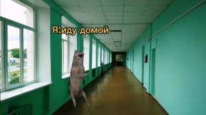 Как проходит мой школьный день (все серии)