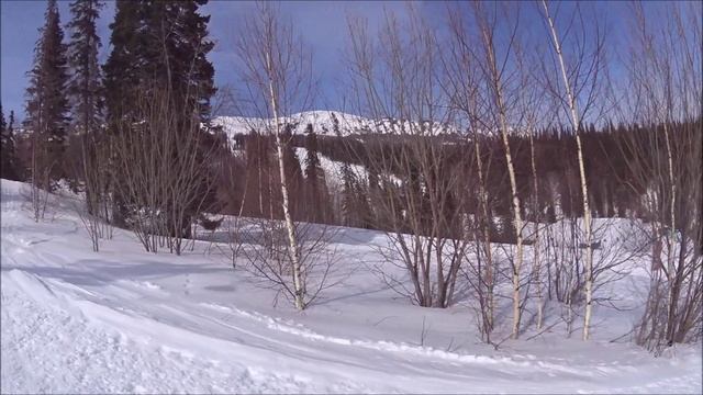 Шерегеш март 2023 смотреть онлайн