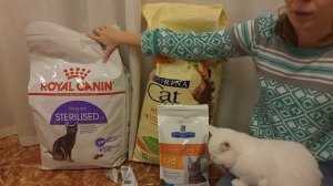 Заказ корма и лакомств для кошек / Royal Canin / Hills / Purina one