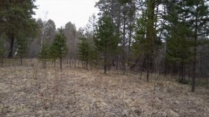 Разведка охотугодий, посещение мест в которых ни разу еще не был. 4.05.2015