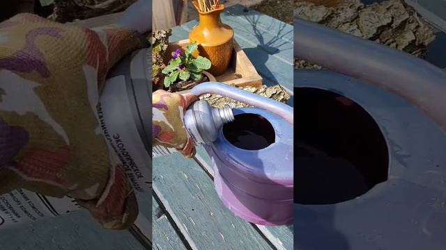 МУСОРНАЯ ГРЯДКА для огурцов готова! #рассада #садогород #огород #дача #дачныйдневник смотреть онлайн