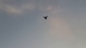 Осенний отбор николаевской птицы в завершении сезона линьки