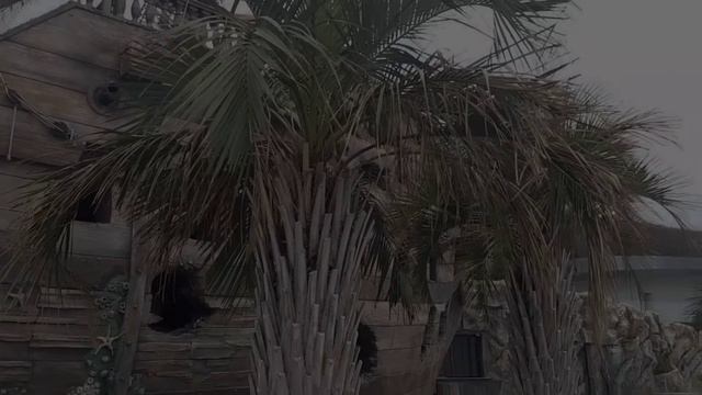 Мрия Resort - пятизвёздочный отель Крыма