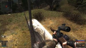 Услуга за услугу, артефакт на дереве. Золотой Шар или Приключения Жекана  S.T.A.L.K.E.R.