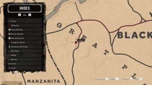 RED DEAD REDEMTION 2 # 18