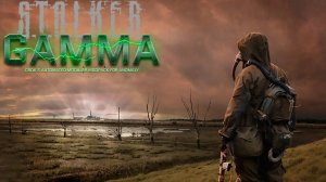 S.T.A.L.K.E.R. Anomaly GAMMA #1