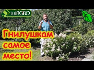 Все паданки яблок и груш тащите вот сюда! Всё делаем прямо по месту. Даже больные годятся.