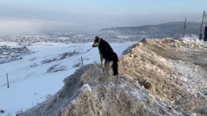 Уральские горы, Дальнобой на газели