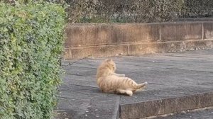 Когда объелся, а ещё нужно умываться.