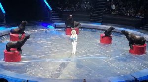 Василий Тимченко в шоу "Больше меньше". Большой Московский цирк, январь, 2024