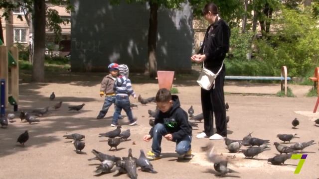 "5 графа". Выпуск № 2. Дети с синдромом Дауна смотреть онлайн