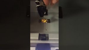 Проведение спектрального анализа