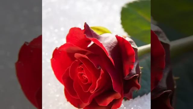 Pavlos Bouros (Я дышать без тебя♥️❣🙏 не могу ) смотреть онлайн