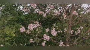 Краснодар. Основные достопримечательности за 1 день.