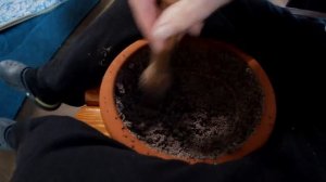 как правильно приготовить мак для кути в макитре (poppy for kutya patties of the leaflets)вкуснятин