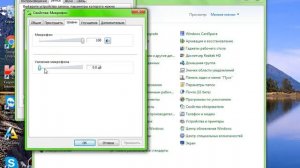 :)КАК СДЕЛАТЬ ТАК  ЧТОБЫ МИКРОФОН  НЕ ФОНИЛ(: (загляните в описание)