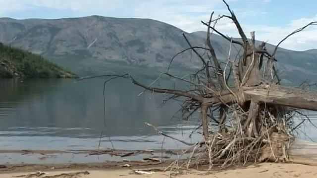 Зарисовка "Витимский заповедник" (2011 г.) смотреть онлайн