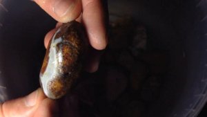 Самоцветы. Минералы. Яшма . Чёрное море. Находки на пляже.