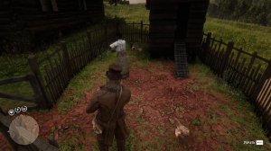 Возможная локация петуха-доминик | Red Dead Redemption 2