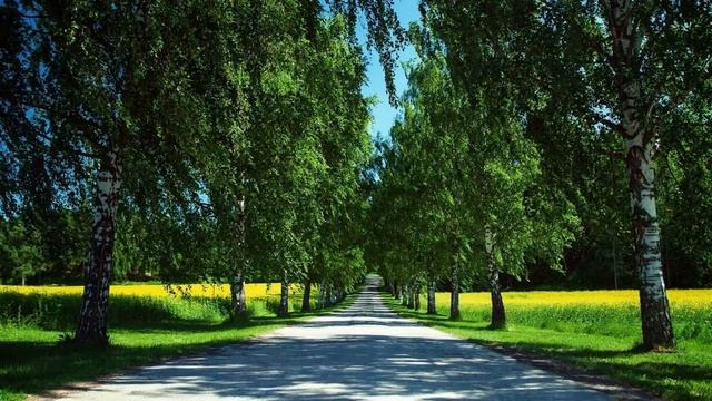ЛЕТНЯЯ ПОВЕСТЬ... Авторская поэзия