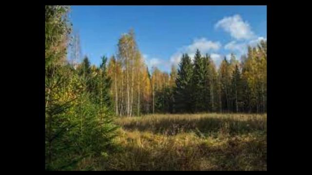 Классическая музыка 10 минут для всей души
