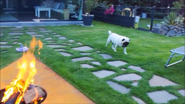 Offenes Feuer | Как обустроить место для костра из остатков метала смотреть онлайн