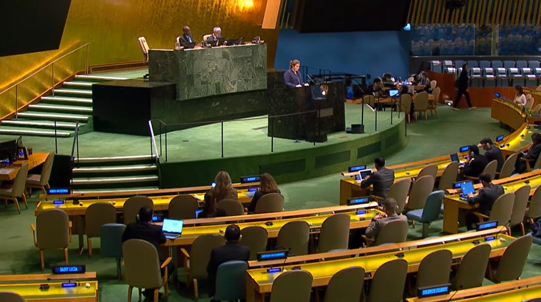 ? А.М.Евстигнеева в ГА ООН. Выступление по положению на Ближнем Востоке (09.01.2024)