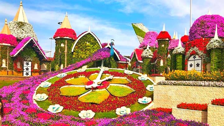 ДУБАЙ Miracle Garden