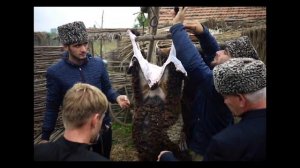 Чечня.  Праздник традиций.