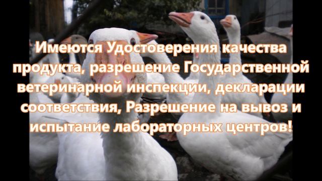мясокостная мука москва оптом купить цена