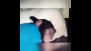 ержан вставай