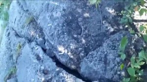 Сплав по Томи В Кемеровской области город Новокузнецк