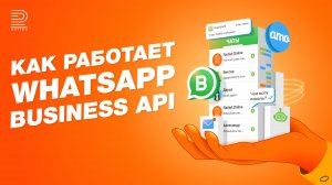 Как работает WhatsApp Business API в amoCRM? Официальный WhatsApp: коротко о главном