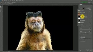 Tutorial How to Cut Out Hair in Photoshop CC 2018 quicker and easier than ever before