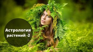 Магия трав | Астрология растений 2