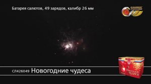 СЛ426049 Новогодние чудеса