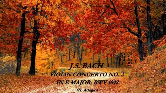 J.S. Bach : Violin Concerto No. 2 in E Major, BWV 1042 - (II. Adagio) смотреть онлайн