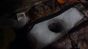 Зимняя рыбалка в Якутии "Волчья курья".