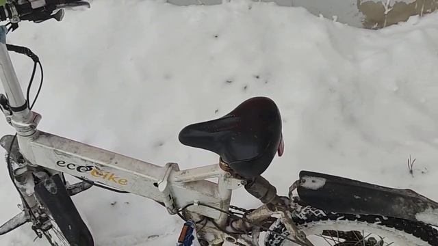экобайк f1