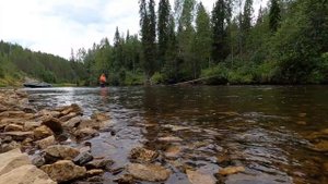 Отличная летняя РЫБАЛКА на ХАРИУСА / СПЛАВ по реке ТОБЫСЬ